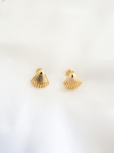 Gold shell-shaped earrings on a light beige background